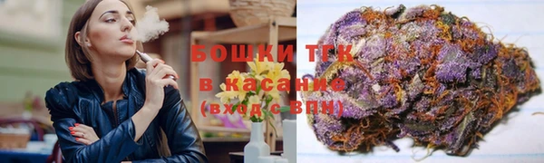прущий лед Арсеньев