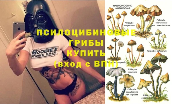кокаин Алексеевка