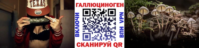 Галлюциногенные грибы Psilocybe  Тихвин 